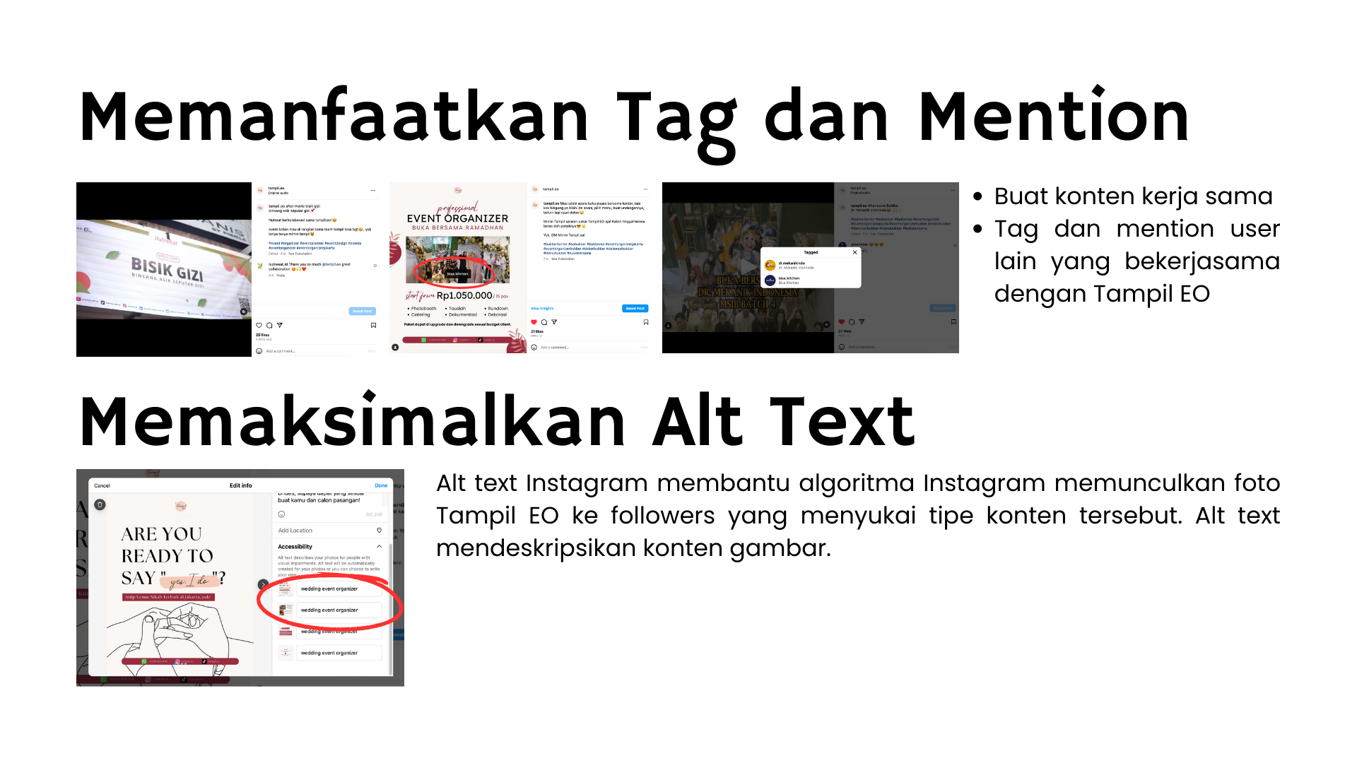 Instagram SEO Tampil EO slide 3