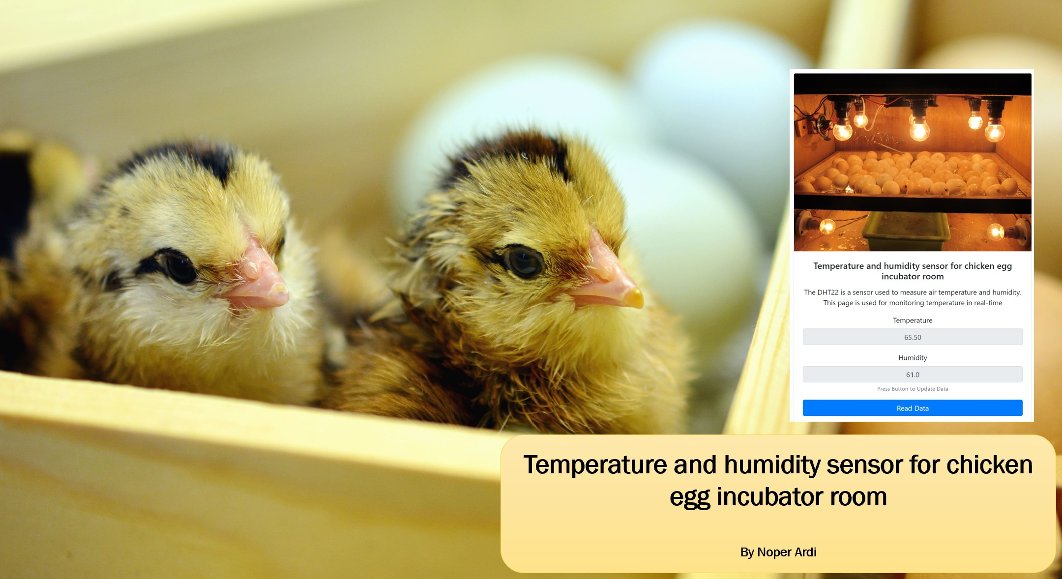 Smart Chicken egg incubator