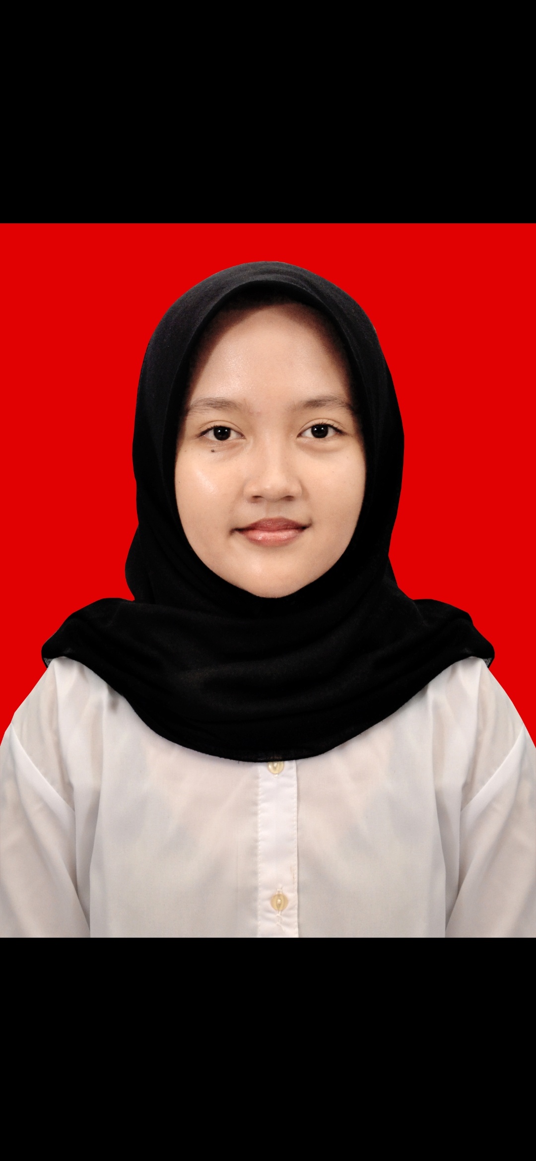 Fadhilla febriana insani